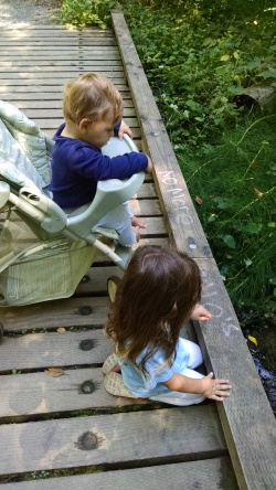 The kids take a break from walking to analyze a babbling brook.